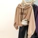 real-shot Hooded Sweatshirt For Women, Spring And Autumn Thin Style, Korean Version, Loose Fit, Short_ecoleips.com