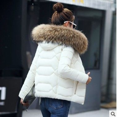 Women's Clothing New Down Cotton Jacket Women's Short Autumn And Winter Women's Cotton Coat Large Fur Collar Cotton Jacket_ecoleips.com
