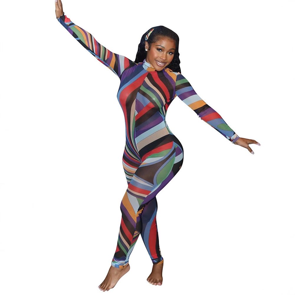 Women's Sexy Sheer Mesh Jumpsuit With Colorful Floral Print Long Sleeve Romper Versatile Long Sleeve Design_ecoleips.com