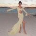 Elegant French High-End Goddess Bikini See through Sexy Cropped Floor Dress European American Style Age Reducing Red Color Women's Beachwear_ecoleips.com