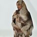 Modest Abaya Dress Floral Print Cardigan & Scarf Set – Modest Fashion Cover-Up For Women (Blue/Coffee/Gray)_ecoleips.com
