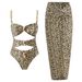 Women's Clothing Two Piece Bikini Swimsuit Women's Tight Fitting Chiffon Skirt Swimsuit Set_ecoleips.com