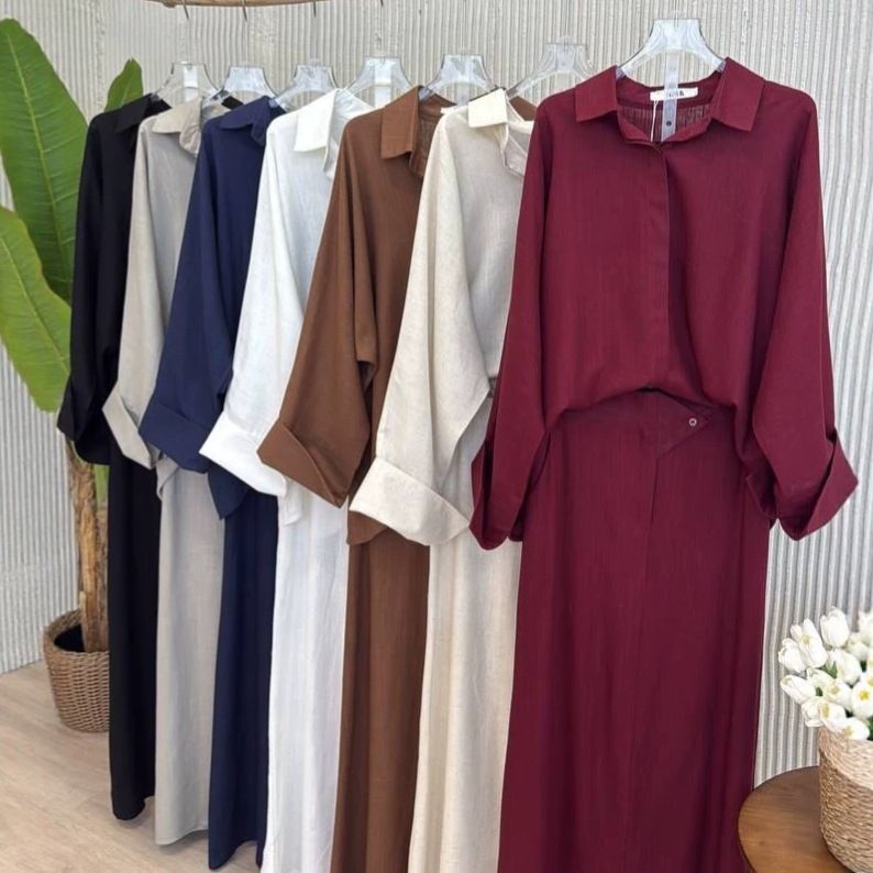Summer Women's Slim Fit Long Sleeve Dress Style Versatile Lapel Button H-Line Straight Everyday Clothing_ecoleips.com