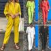 Women's Clothing 2-piece Plus Size Cotton And Linen Shirt Suit High Waist Loose Trousers_ecoleips.com