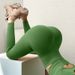 Women's Clothing Yoga Pants Peach Buttocks No Embarrassing Line Tights Sports High Elastic Base Fitness Buttocks Yoga Pants_ecoleips.com