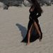 Beach Cover Up Dress With Lace Trim | Long Sleeve Sun Protection Sheer Kimono For Vacation Swimwear_ecoleips.com
