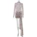 Sexy Sheer Mini Dresses Women Turtleneck Print Long Sleeves Leopard Sheath Bodycon Dress Female Streetwear Club Party Dresses_ecoleips.com