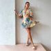 Women's Clothing Cotton And Linen Puff Sleeve Print Dress Summer V Neck Beach Series Midi Dress_ecoleips.com