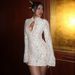 Women's Sexy Lace Hollow Out Long Sleeve Bodycon Mini Dress – Elegant Spring Party Gown 2026_ecoleips.com