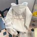 Men's Hooded Sweatshirt 2025 New Style American Design Casual Fleece Lined Thickened Long Sleeved Top for Autumn/Winter_ecoleips.com
