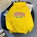 2024 New Fleece-Lined Thickened Women's Autumn Winter Printed Plus Size Loose Hooded Sweatshirt Slimming_ecoleips.com