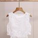Shenzhen Nanyou High End Women's Clothing New French Lace Hollow Hepburn Style Heavy Embroidery Sweet Dress For Women_ecoleips.com