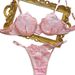Aria Basics In Stock European And American Valentine's Day New For Women Hollow Embroidery See-through Mesh Sexy Lingerie Set_ecoleips.com