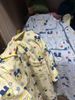 Women'S Cotton Pajamas Set Mameiji Summer Blue Plaid Cute Tamagot Chi Cartoon Short Sleeve Shorts Summer Thin Soft Loungewear_ecoleips.com