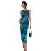 2026 Summer New Women's Sleeveless Printed Mesh Bodycon Dress For European And American Cross-Border Independent_ecoleips.com
