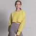 Women's Fleece Lined Short Cropped Sweatshirt Long Sleeved European American Style For Yoga Fitness Sportswear Autumn Winter Top_ecoleips.com