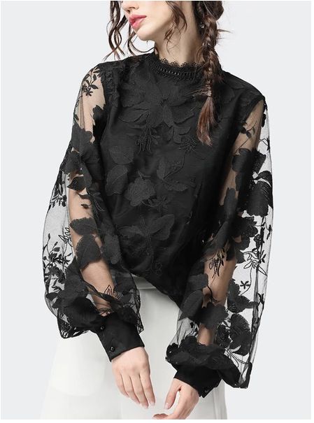 Women's Clothing Lace Puff Sleeve Transparent Round Neck Solid Color Top Shirt_ecoleips.com