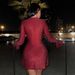 Women's Sparkling Silver Mini Dress Long Sleeve Fitted Party Dress_ecoleips.com