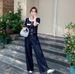 European Tencel Denim Matching For Women 2025 Spring Summer New Style Elegant Slimming Casual Wide-Leg Pants Two-Piece_ecoleips.com