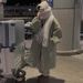 girl Girl Girl Girl 2025 Korean Chic Winter New Workwear Parka Drawstring Jacket Mid-Length Cotton Coat For Women_ecoleips.com
