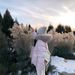 girl Girl Girl 2024 Winter New Extreme Cold Series Parka Workwear Down Jacket Women's Three-Proof Real Raccoon Fur Coat Wholesale_ecoleips.com