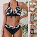 Women's Clothing New Colorful Printed Swimsuit Triangle Bikini Set Plus Size Two Piece Polyester Spring Autumn Summer Winter_ecoleips.com
