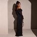Women's Clothing"Elegant Off-Shoulder Mesh Dress – Silver Trim & Bodycon Fit For Women"_ecoleips.com