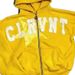 Women's Clothing Street Hip Hop Letter Printed Cardigan Zipper Hoodie Youth Casual Sweatshirt_ecoleips.com