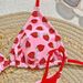 Women's Clothing New Swimsuit Sexy Slim Backless Strawberry Printed Briefs Bikini_ecoleips.com