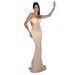 European And American Style Women's Summer Sexy Backless Mesh Bodycon Dress 2025 Cross Border Design Wholesale_ecoleips.com
