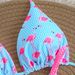 European And American Style Sexy Flamingo Print Bikini Two Piece Swimsuit Women's Cross Border Swimwear Premium Ins Style_ecoleips.com