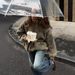 Women's Fleece Jacquard Sweatshirt European American Style Winter New Loose Turtleneck Half Zip Sweatshirt_ecoleips.com