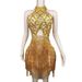 Diamond Performance Costume Female Singer Rhinestone Tassel Elastic Slimming Latin Dance Short Dress GC Birthday Outfit_ecoleips.com
