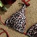 Leopard Print Halter Neck Bikini Two Piece Beach Swimsuit For Women Sexy American Style 2026 High Selling_ecoleips.com