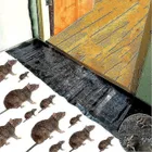 Pest Control_ecoleips