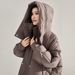 girl Girl Girl Winter 90 White Duck Casual Simple Versatile Loose Warm Mid-Length Stand Collar Hooded Down Jacket For Women 18711_ecoleips.com