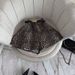 Women's Clothing Spring And Summer New High Waist Leopard Print Camouflage Loose Design Niche Casual Wide Leg Shorts_ecoleips.com