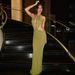 Foreign Trade 2026 Summer New European And American Women's Fashion Sexy Halter Neck Backless Slim Fit Hot Girl Mesh Women's Bodycon Dress
_ecoleips.com