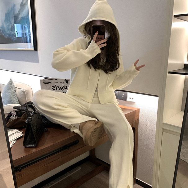 Lazy Sweater Set Women's Fall & Winter Hooded High-Waisted Knitted Jacket Slit Casual Wear Two-Piece Set_ecoleips.com