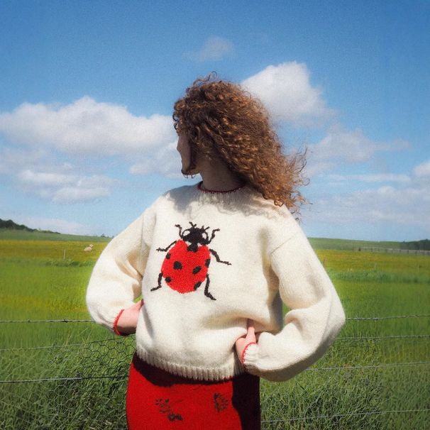 Women's Cute Style Knitwear Sweater round Neck Long Sleeve Insect Jacquard Pattern High Street Loose Fit European American Cross Border_ecoleips.com