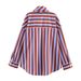 PB&ZA Cross-border Women's Clothing, Relaxed Fit Loose Shirt, Long Sleeve, High Collar, Bow-decorated Striped Shirt_ecoleips.com
