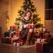 Festive Contrast Color Christmas Sweater For Women – Cozy Knit Pullover With Holiday Cheer (XS-XL, Apricot/Navy Blue)_ecoleips.com