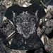 2026 European And American New Women Y2K Slim Short Sleeve Printed Top T-Shirt Hot Girl Fashion Retro Women's_ecoleips.com