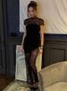 Blifanbo Lace Backless Sexy Mini Dress Women Gown See Through Turtleneck Bodycon Sleeveless Club Party Dresses Female Elegant_ecoleips.com