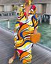 Women's 2023 Spring V Neck Loose Long Sleeve Printed Dress_ecoleips.com