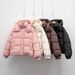 Pinghu Short Down Jacket For Women Winter New Korean Version Regular Simple Hooded Petite Warm Puffer Coat_ecoleips.com