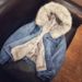 "Women's Lambswool Denim Jacket With Hood Style Winter Coat, Thickened Velvet Lining, Warm & Stylish Outerwear"_ecoleips.com