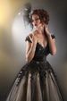 Women's Clothing New Lace V Neck Sexy Elegant Queen Mesh Tulle Skirt Small Dress_ecoleips.com