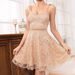 Women's Clothing Solid Color Sling V Neck Lace Slim Elegant Backless Short Dress_ecoleips.com