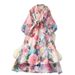 Women's Retro Court Style Long Dress Floral Print Puff Sleeve Tie Waist Beautiful And Ethereal Autumn Dress_ecoleips.com